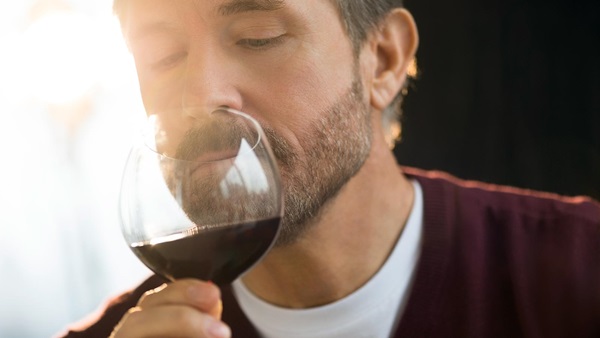 Mejores vinos españoles en calidad/precio
